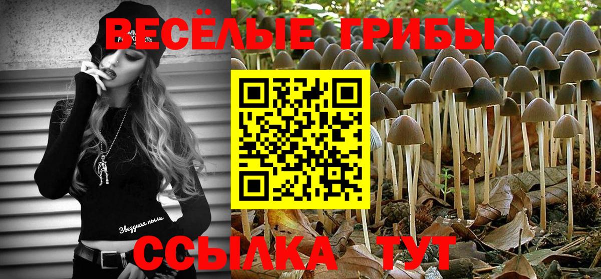 Псилоцибиновые грибы Psilocybine cubensis  Вход с VPN  Псилоцибиновые грибы GOLDEN TEACHER  Дивногорск 